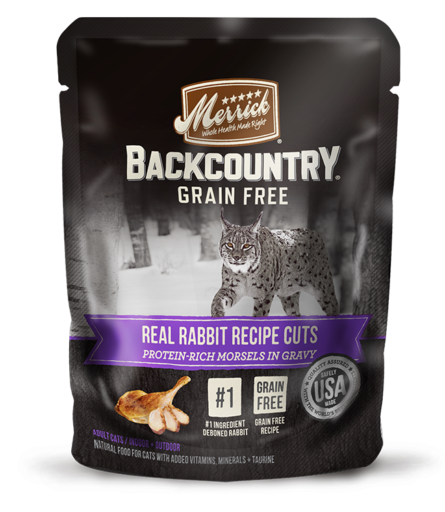 Grain free cat food bad hotsell