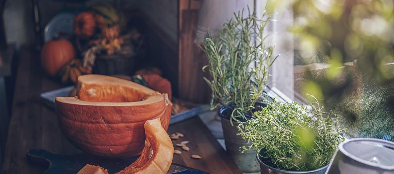 A pumpkin cut in half and a plant in a pot