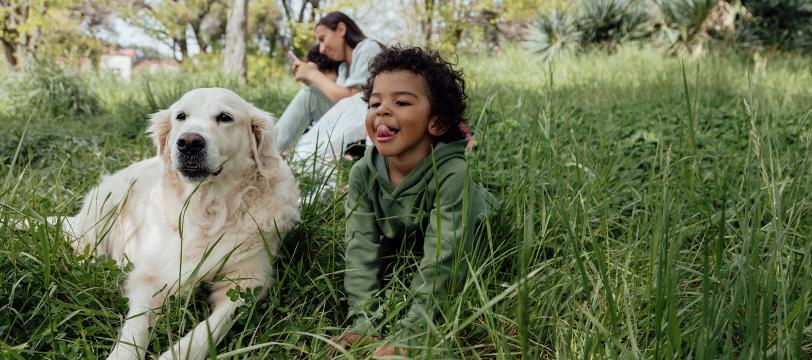 A child lying in the grass with a dog and a woman in the background