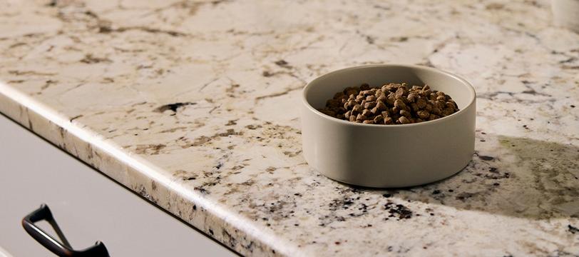 A bowl of food on a counter