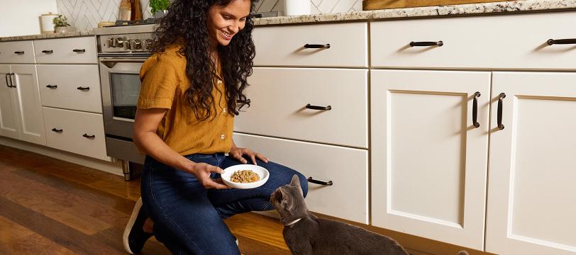 A woman feeding a cat