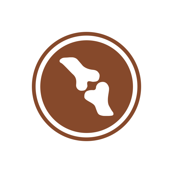 Hip and joint support icon