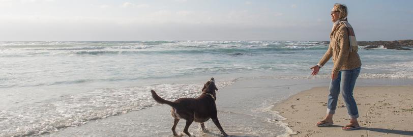 owner and dog playing on beach