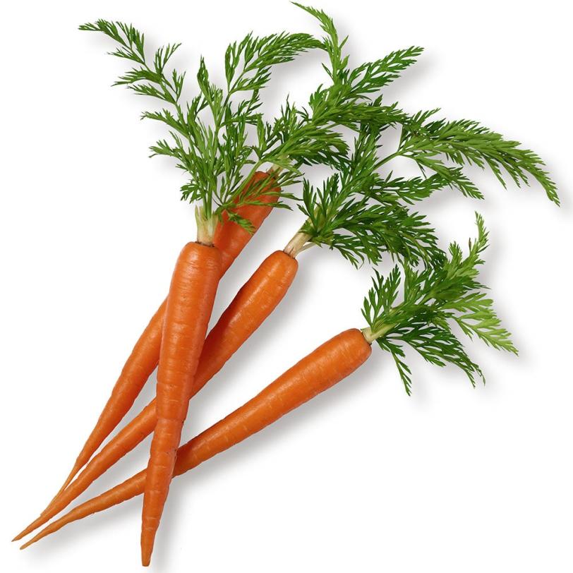 EIHAP ME Carrots