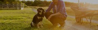 man kneeling to pet dog