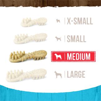 Image showing Fresh Kisses Mint Medium bone size against other bone sizes. 