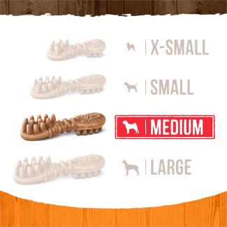 Image showing Fresh Kisses Pumpkin Medium bone size against other bone sizes. 