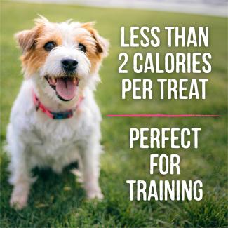 Dog sitting on grass with the words “Less than 2 calories per treat” and “Perfect for training.” 