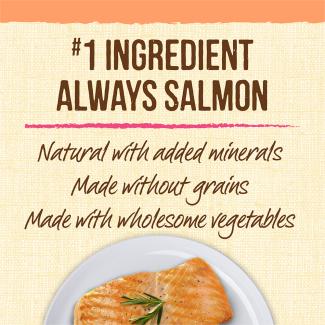 A plate of cooked salmon and a tan background that says “#1 ingredient is always salmon. Natural with added minerals. Made without grains. Made with wholesome vegetables.” 