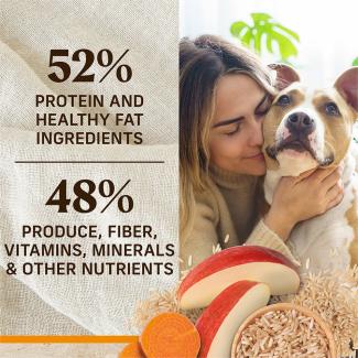 Healthy Grains Chicken Brown Rice Dry Dog Food Merrick Pet Care