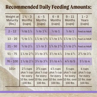 Merrick fashion puppy food chart